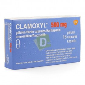Clamoxyl (Amoxicilline) 500 mg x 16 Gélules